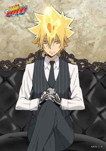 ブロッコリー 家庭教师ヒットマンreborn ミニフォトァルバム i世ファミリー ボンゴレi世 教师hitman reborn 迷你相册i ii i ii家庭vongole,代购日本,国外代购