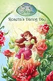Rosetta's daring day