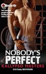 Nobody's Perfect (Military Romance /...