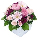 �J���[�p���b�g