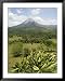 Arenal Volcano from La Fortuna Side, Costa Rica, Central America Framed Art Poster Print by R H Productions, 39x49