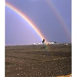 SustainableAgriculture-TheRelevanceofAgriculturetotheEnvironment