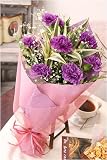 �y�N�[���֔z���i�����T�[�r�X�j�z�����z�B���ԉ����� �K�����肤�J�[�l�[�V�������[���_�X�g�ԑ��i���̃J�[�l�[�V�����M�t�g�ԑ��j �y���������z�E�y�͓��w��\�z