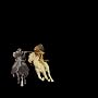 Kowboyz & Indians ~ Gonjasufi