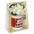 Carbona Poinsettia Holiday Bouquet Air Freshener, 4.3-Ounce Bottle (Pack of 6)