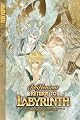 Return to Labyrinth Volume 2 (v. 2)