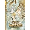 Return to Labyrinth Volume 2 (Return to Labyrinth)