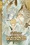 Return to Labyrinth Volume 2 (Return to Labyrinth)