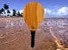 Balls Shipping
One Olive Wood Frescobol Racquet Paddle Ball Paddleball Fresco Ball Beach Sports Smash Ball Smashball FREE SHIPPING