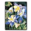 Perennial Garden - Gift Enclosure Cards (set of 12)