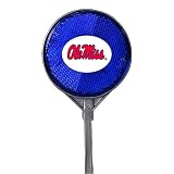 Mississippi Driveway Reflector Blue