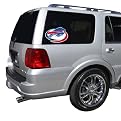 inconcept BUFFALO BILLS WINDOW LOGO