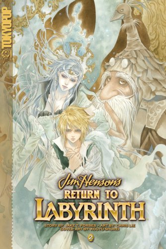 return to labyrinth volume 2 v 2