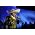 Vignette de Vicente Fernandez