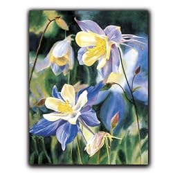 Perennial Garden - Gift Enclosure Cards (set of 12)