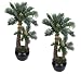 Arcadia Silk Plantation Artificial Cycas Palm Trees Pre-Potted In Two Pots, Set of 2