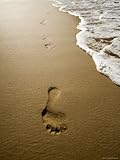 Waves About to Wash over Footprints in the Sand, Anaho Bay, French Polynesia Stretched Canvas Poster Print by Tim Laman, 9x12