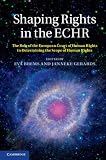Shaping rights in the ECHR : the role of the European Court of Human Rights in determining the scope of human rights