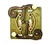 Green Tree Jewelry Double Fulcrum Green Wood Light Switch Plate