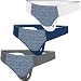 Nfl Indianapolis Colts Women's Mystic Memory Thong - Set Of 3 Size: Medium