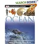 Ocean (DK Eyewitness Books)