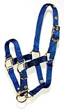 Hamilton 3/4-Inch Adjustable Miniature Nylon Horse Halter, Weanling, Navy Blue