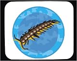 Decorated Mouse Pad with centipede, insect, antenna, animal, leg