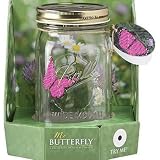 Butterfly in a Jar - Pink Morpho