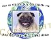 pug6  - Pug Mouse Pad Dog Mousepad Creation