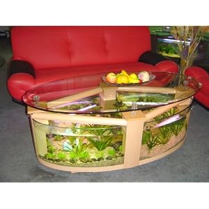 buy fish aquariums