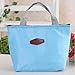 Sandistore Waterproof Portable Picnic Insulated Food Storage Box Tote Lunch Bag (Blue)