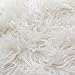 Fake Faux Fur Curly Alpaca 58 Inch Wide Fabric by The Yard (F.E. (White)