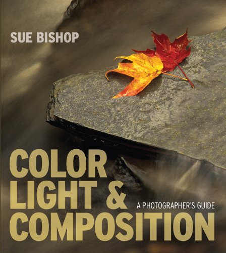Color, Light & Composition: A Photographer's Guide