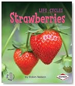 Strawberries (First Step Nonfiction)