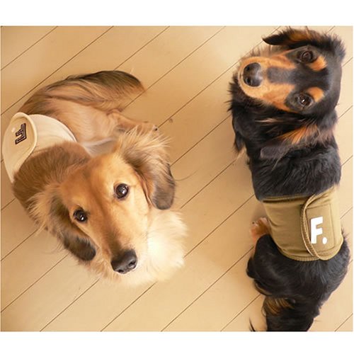 F.アップリケマナーベルト(全犬種対応、サイズ:L、カラー:3/アカ)