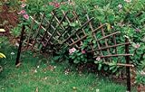 Expandable Willow Arch Edging - 39" X 16"