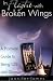 In Flight With Broken Wings: A Guide to Being LDS and Divorced
