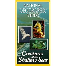 National Geographic: Creatures of the Shallow Seas [VHS]