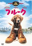 �t���[�N [DVD]