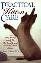 Practical Kitten Care