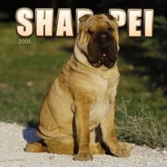 Shar-Pei 2005 Wall Calendar