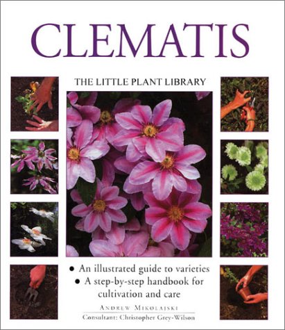 Clematis: The Little Plant Library Series