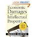 Economic Damages in Intellectual Property: A Hands-On Guide to Litigation