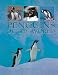Penguins of the World