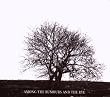 Among the Rumours and the Rye