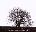 Among the Rumours and the Rye