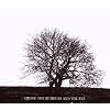 Among The Rumours And The Rye