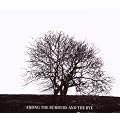 Among The Rumours And The Rye