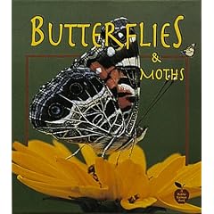 Butterflies and Moths