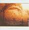 Selected Ambient Works, Vol. 2